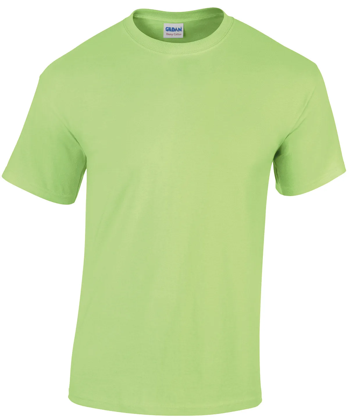 Heavy Cotton adult t-shirt | Mint