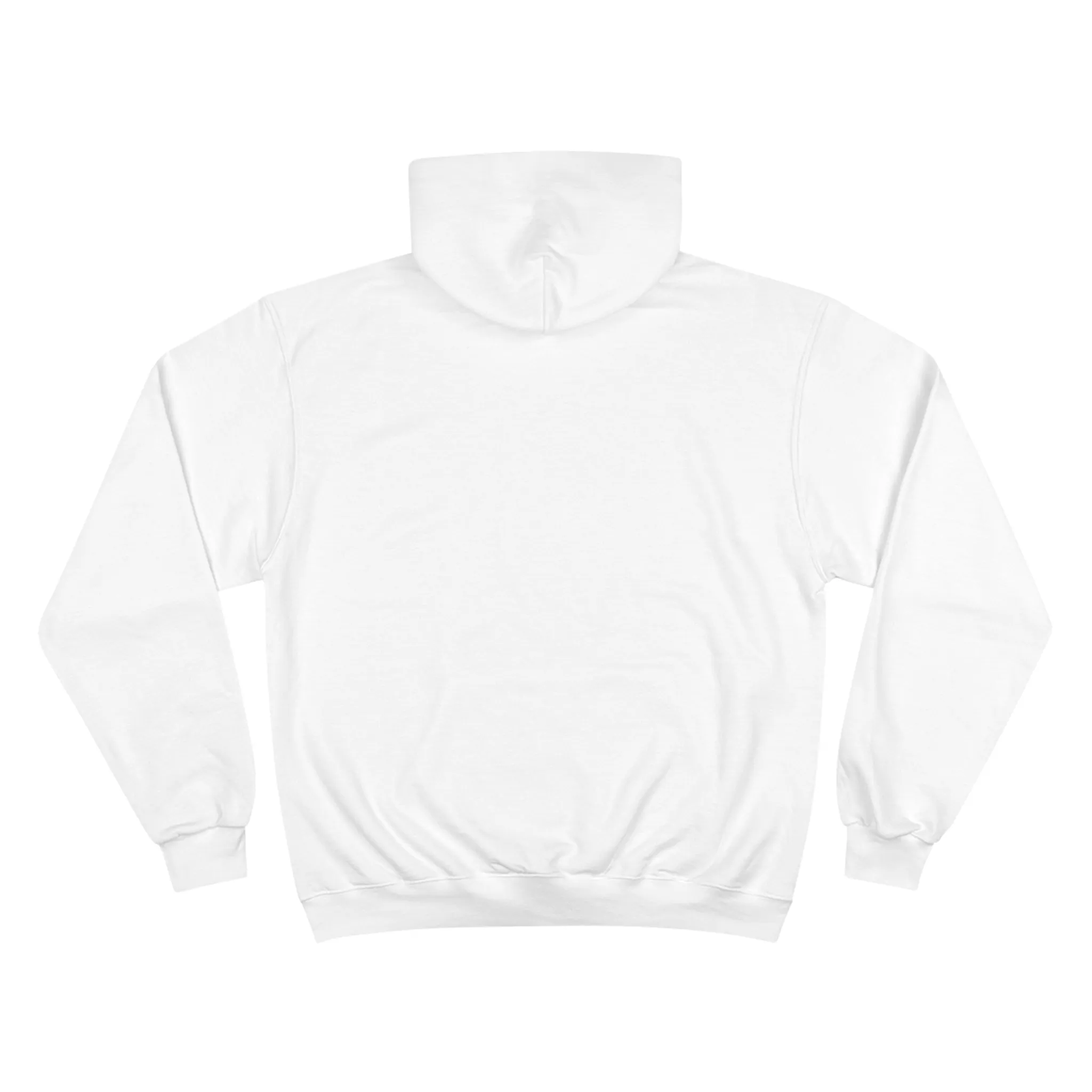 Monroe Institute Champion Hoodie