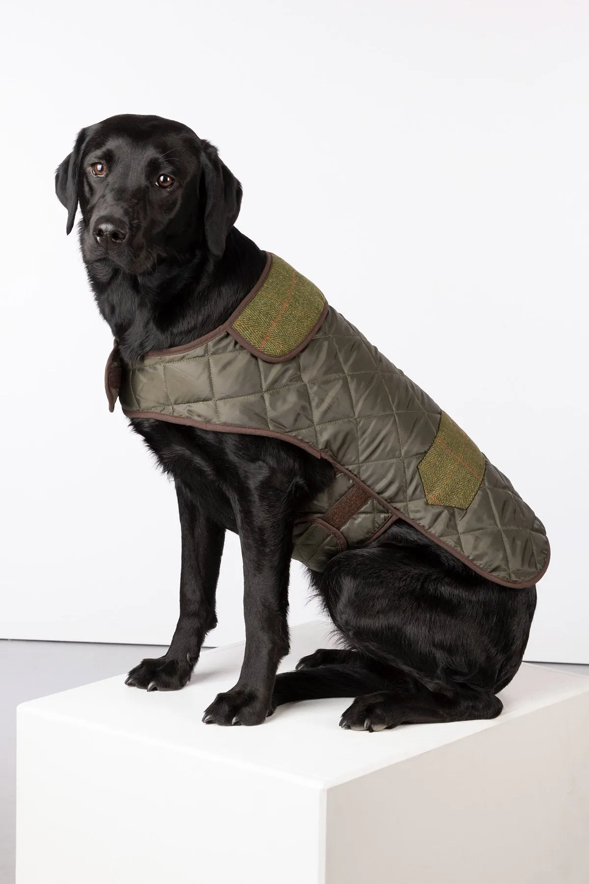 Tweed Quilted Dog Coat